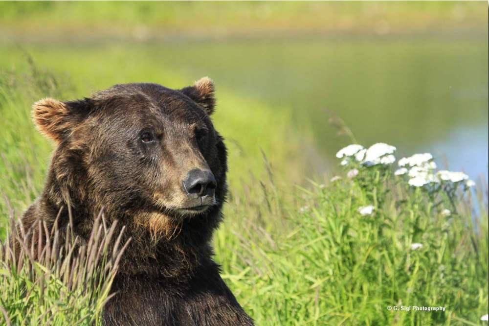 Kanada: Neuer Nationalpark in den Northwest Territories