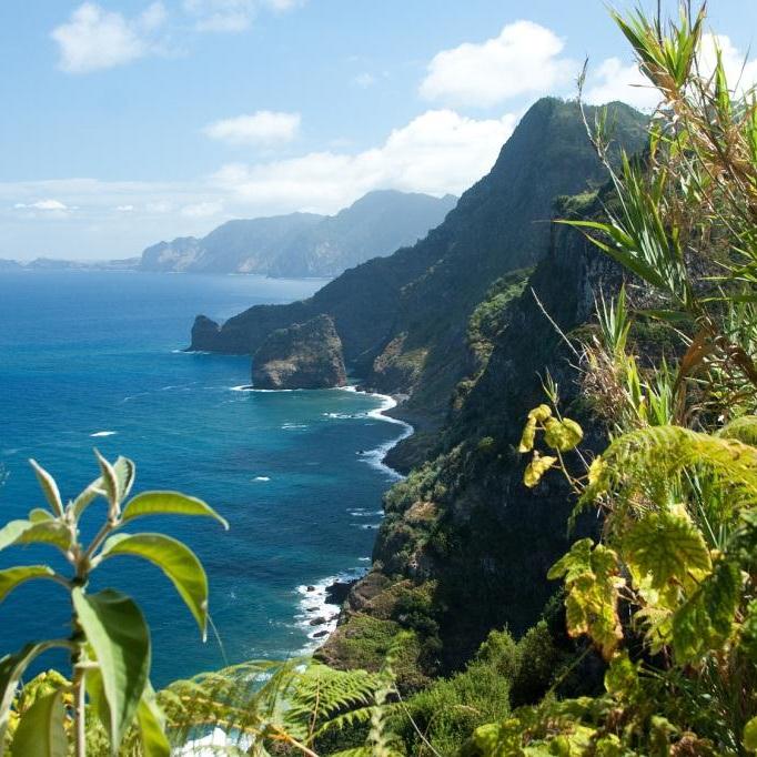 Portugal / Madeira: Frühlingserwachen auf der Blumeninsel