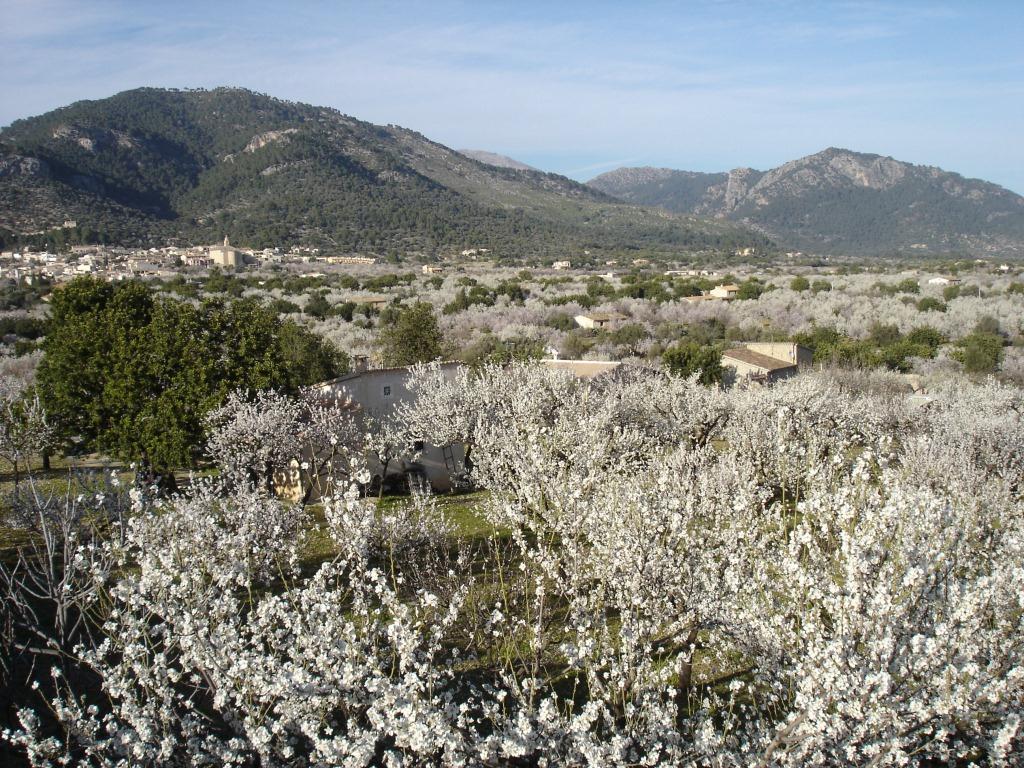 Mallorca: Vorbei an traumhaften Buchten und einzigartigen Küstenlandschaften – Mallorca-Wanderreisen im Frühling
