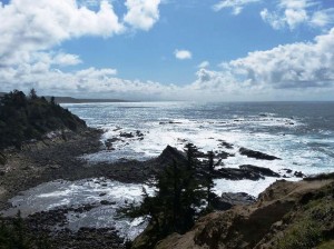 3-CoosBay-StatePark