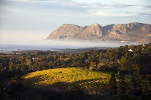 Weinregion Franschoek in Südafrika - Reisetipp von Iwanowski's Reisen