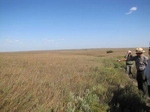 TallgrassPrairie_Kansas_USA_Iwanowski