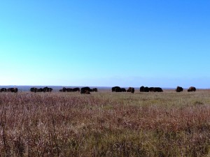 FlintHills_USA_Kansa_Iwanowski