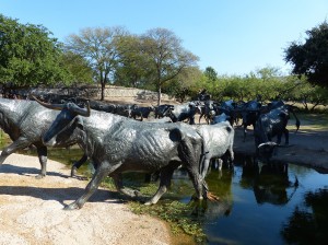 Dallas Trail Drive im Pioneer Park