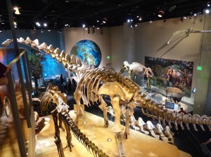 Texas Perot Museum of Nature Science