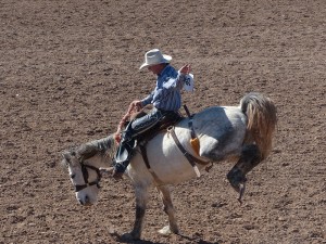 Rodeo Show in Tucson USA