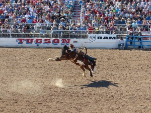 Tucson Rodeo Arizona