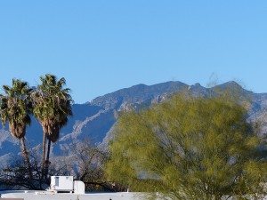 Tucson zwischen Bergen und Wüste 