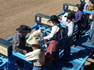 Cowboys Rodeo Tucson