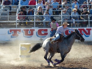 Rodeo Tucson Arizona