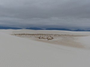 White Sands National Monument, New Mexiko. iwanowski.blog
