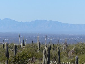 Landschaft bei Tucson. iwanowski.blog