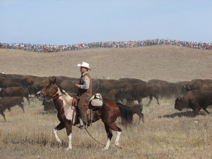 Ranger_Buffalo. iwanowski.blog