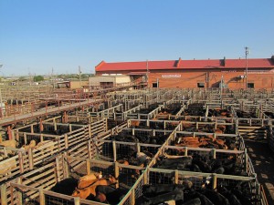 ChisholmTrail_Stockyards. iwanowski.blog