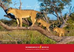 iwan_katalog_titel_2012-2013_72dpi_rgb
