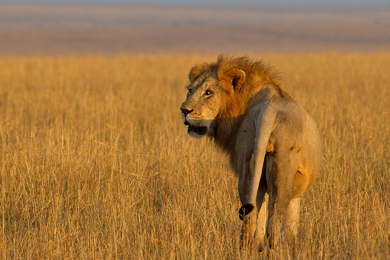 Kania_Reise_Iwanowski › Iwanowski's ReiseBlog