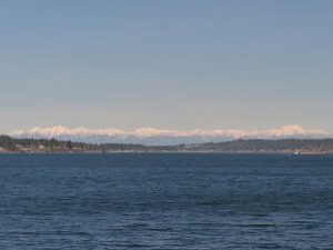 1-OlympicNP-MountainView PugetSound