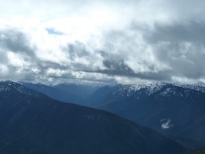 3-OlympicNP-HurricRidge-Mountains